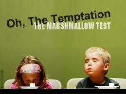 marshmallow test