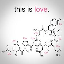 oxytocin love